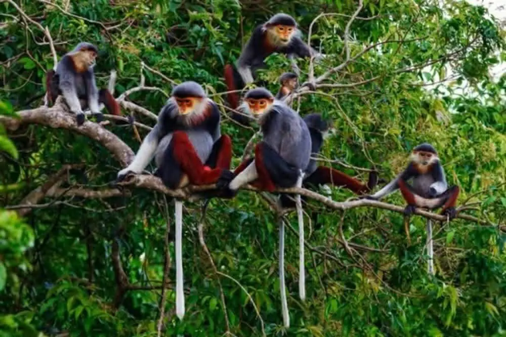 WhatsApp Image 2026-03-31 at 10.39.45 PM